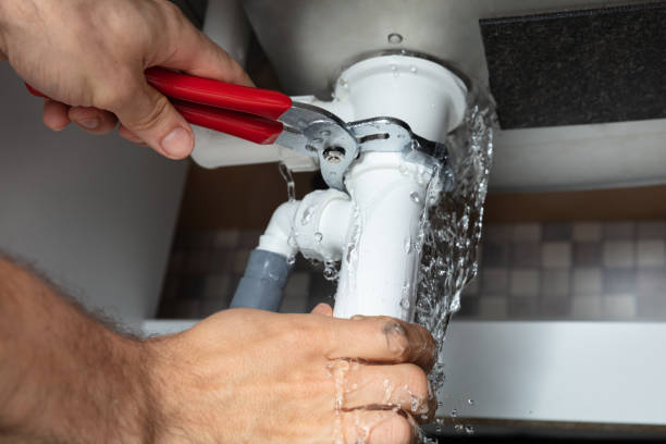 Best Flood damage cleanup  in North Bend, WA