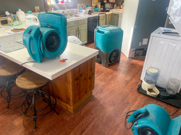 Best Water damage restoration near me  in North Bend, WA
