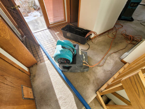 North Bend, WA Water damage restoration Pros
