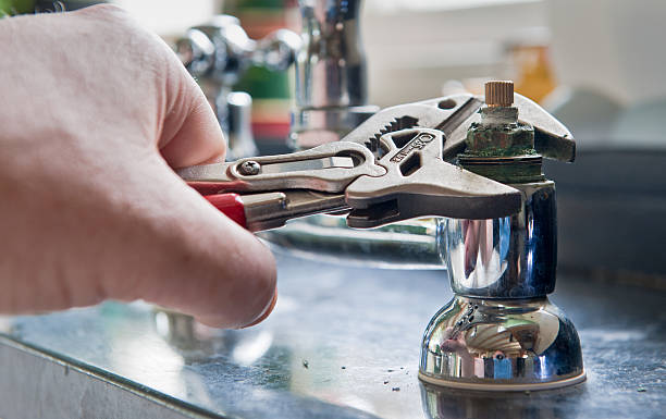Best Flood damage cleanup  in North Bend, WA