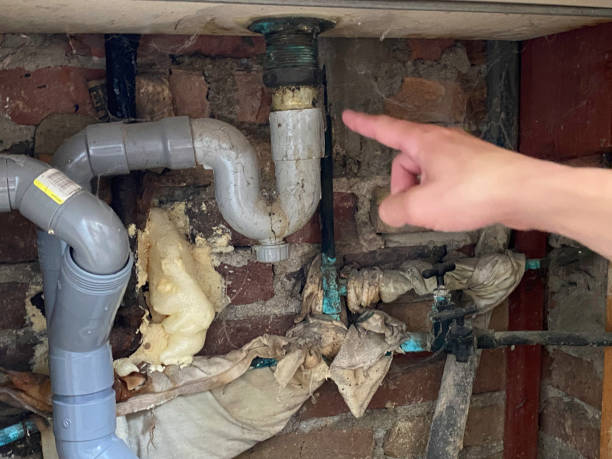 Best Mold removal after water damage  in North Bend, WA